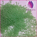 High quality 12/0 green glass seed beads
